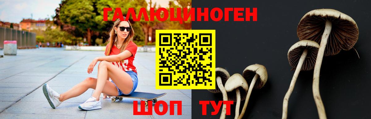 Псилоцибиновые грибы Psilocybine cubensis  магазин  наркотиков  Абинск  Вход с VPN 